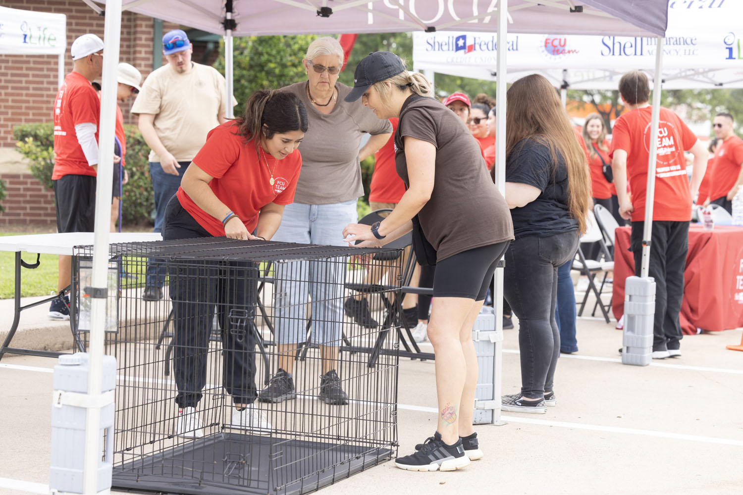 Volunteers