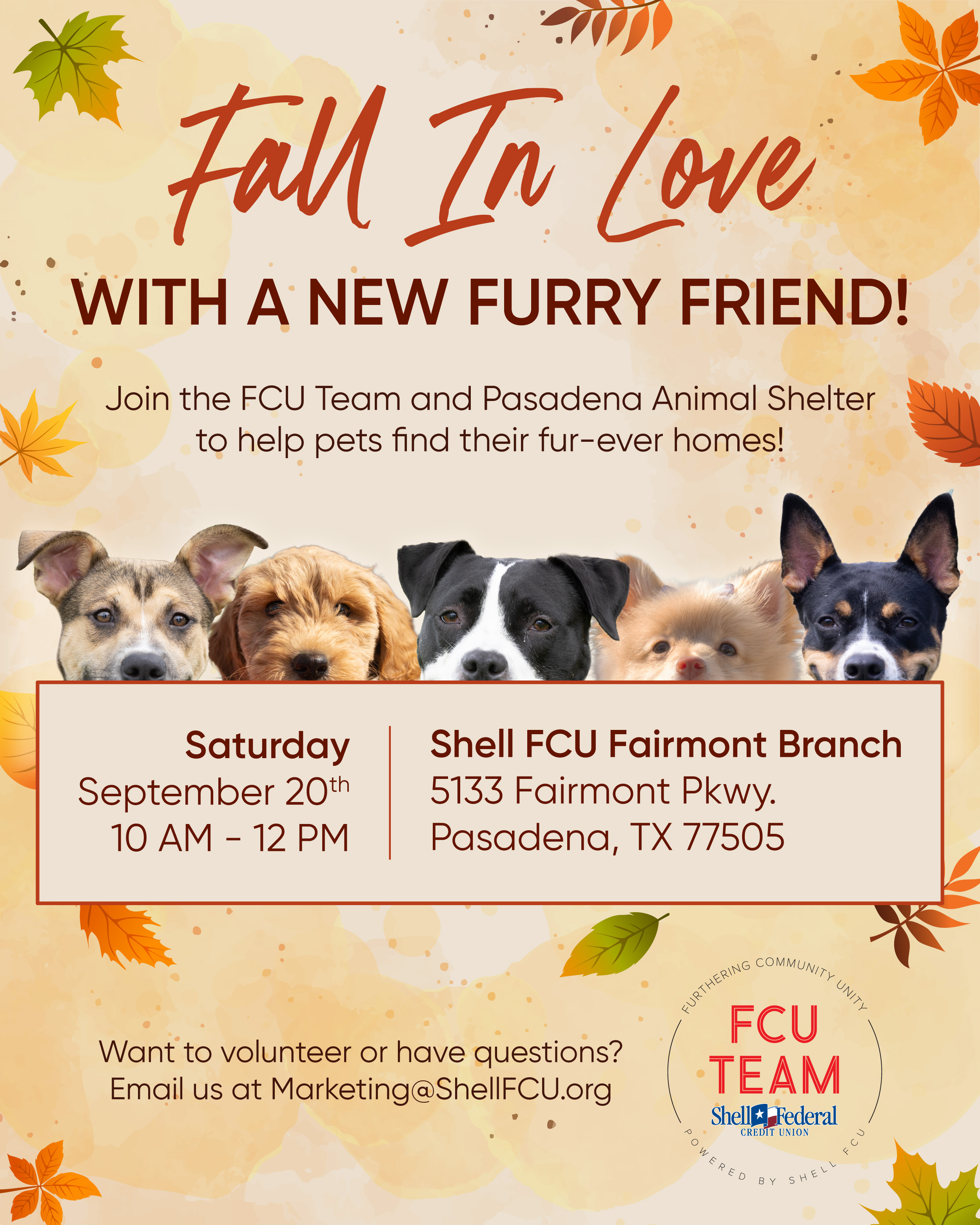Pet Adoption
