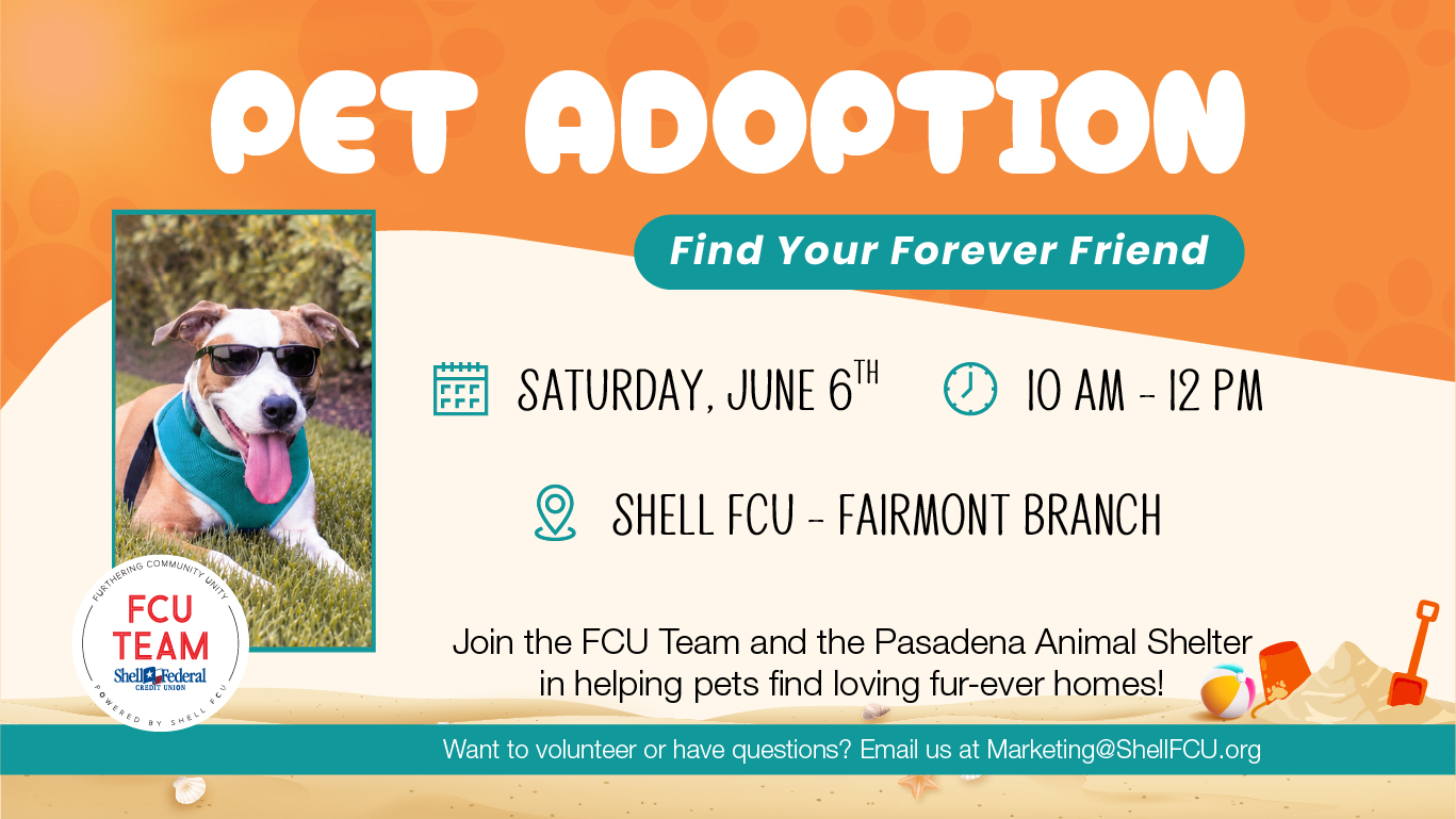 Pet Adoption