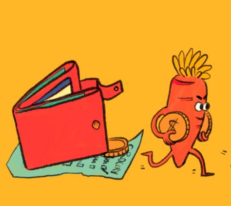 Grocery Budget Assessment